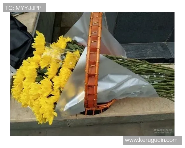 北京乒乓球队逆袭之旅揭秘世界杯背后的奋斗与荣耀